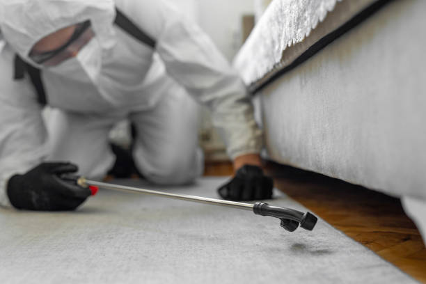 Professional Ant Control technician working in Lake Royale, NC