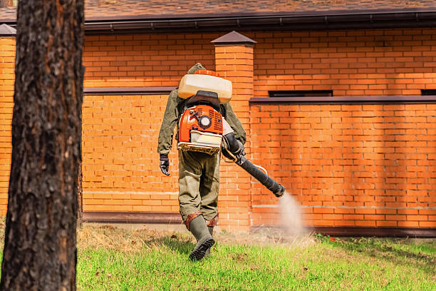 Trusted Termite Control service in Lake Royale, NC - Nex Pest Control